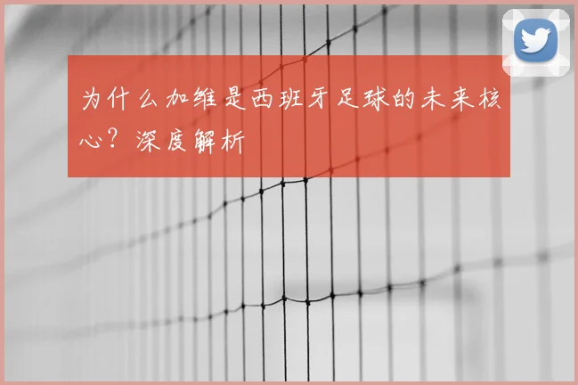 为什么加维是西班牙足球的未来核心？深度解析